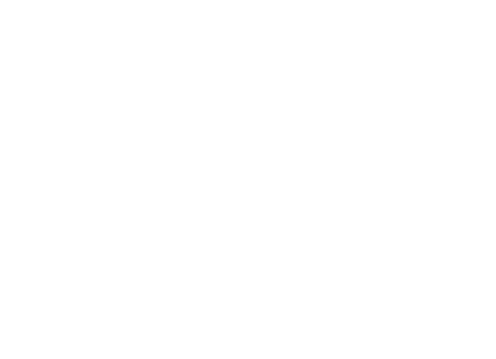 Whitby Museum
